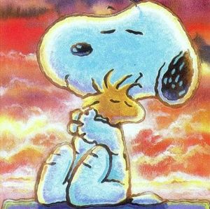 Meet your Posher, Lorrae